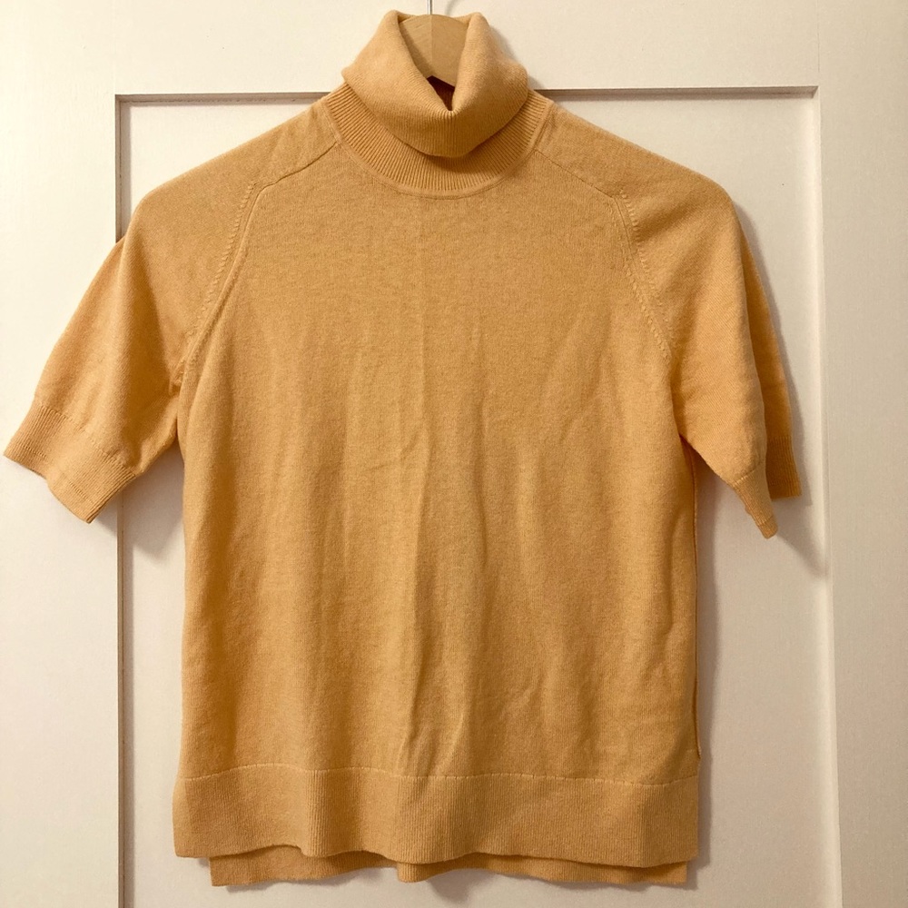Everlane short sleeve cotton/wool turtleneck